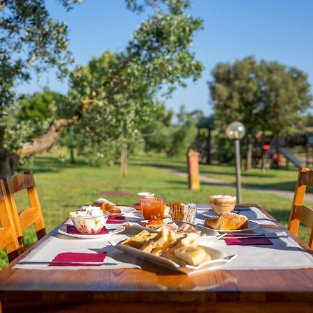 מלון פיומבינו Glamping Gli Etruschi מראה חיצוני תמונה