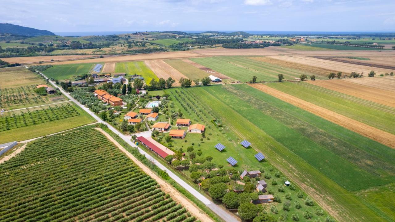 מלון פיומבינו Glamping Gli Etruschi מראה חיצוני תמונה